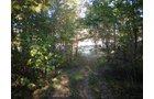 Property photo 9 - 97+/- Acres Offered in 4 Tracts