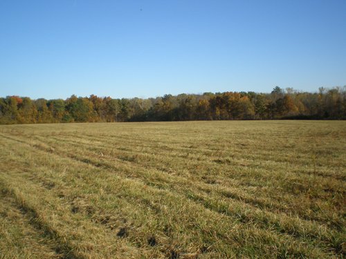 Property photo 1 - 97+/- Acres Offered in 4 Tracts