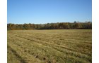 Property photo 1 - 97+/- Acres Offered in 4 Tracts