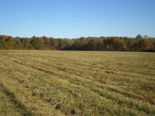 Property photo 17 - 97+/- Acres Offered in 4 Tracts