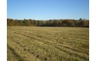 Property photo 17 - 97+/- Acres Offered in 4 Tracts