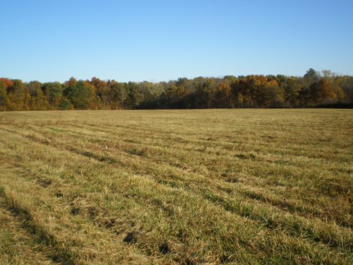 Property photo 26 - 97+/- Acres Offered in 4 Tracts