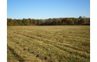 Property photo 26 - 97+/- Acres Offered in 4 Tracts