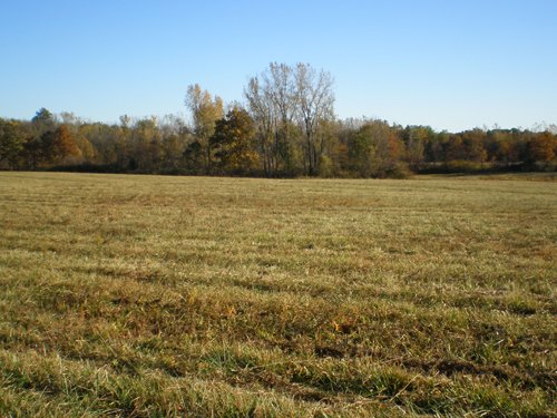 Property photo 23 - 97+/- Acres Offered in 4 Tracts