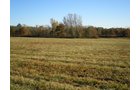 Property photo 23 - 97+/- Acres Offered in 4 Tracts