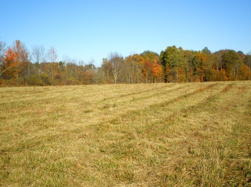 Property photo 16 - 97+/- Acres Offered in 4 Tracts