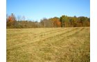 Property photo 16 - 97+/- Acres Offered in 4 Tracts