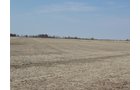Property photo 3 - Butler County, OH, 85 +/- Acres