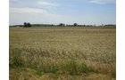 Property photo 5 - Butler County, OH, 85 +/- Acres