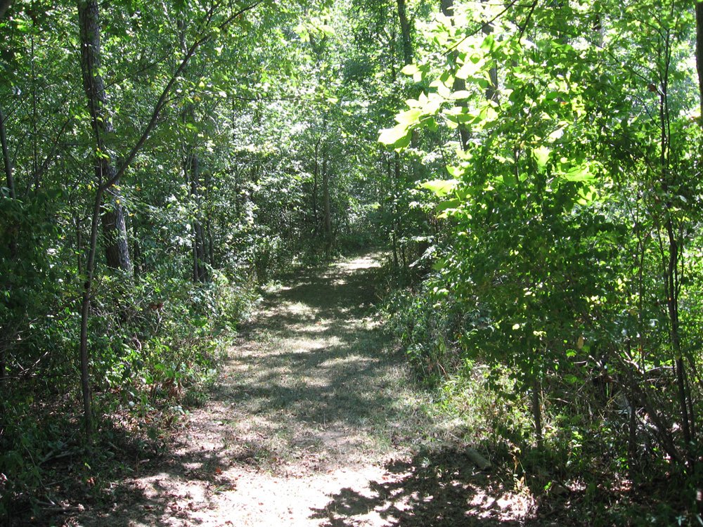 Property photo 19 - Land Auction-59 Acres in 3 Tracts