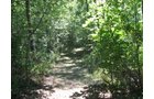 Property photo 19 - Land Auction-59 Acres in 3 Tracts