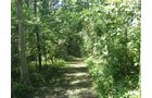 Property photo 11 - Land Auction-59 Acres in 3 Tracts