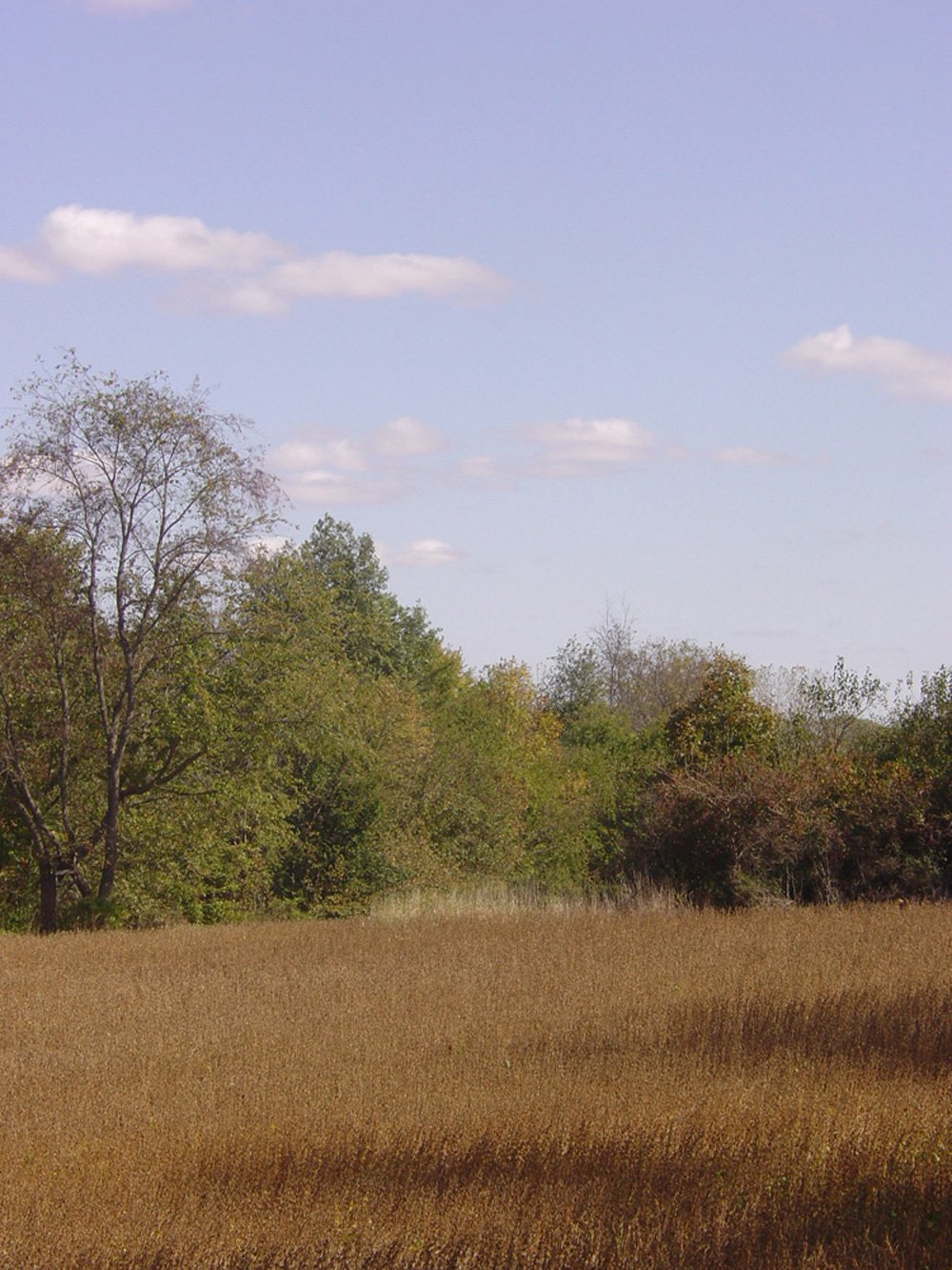 Property photo 24 - Land Auction-59 Acres in 3 Tracts