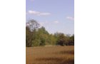 Property photo 24 - Land Auction-59 Acres in 3 Tracts