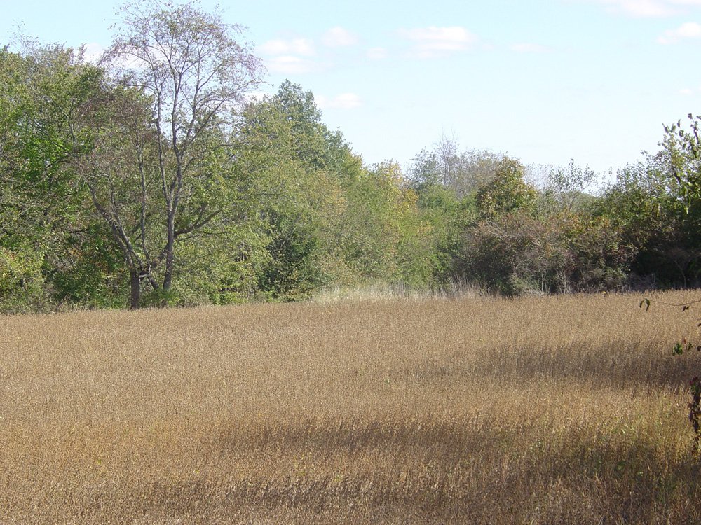 Property photo 10 - Land Auction-59 Acres in 3 Tracts
