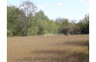 Property photo 10 - Land Auction-59 Acres in 3 Tracts