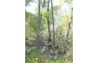 Property photo 17 - Land Auction-59 Acres in 3 Tracts