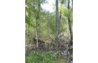 Property photo 1 - Land Auction-59 Acres in 3 Tracts
