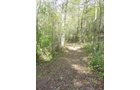 Property photo 12 - Land Auction-59 Acres in 3 Tracts