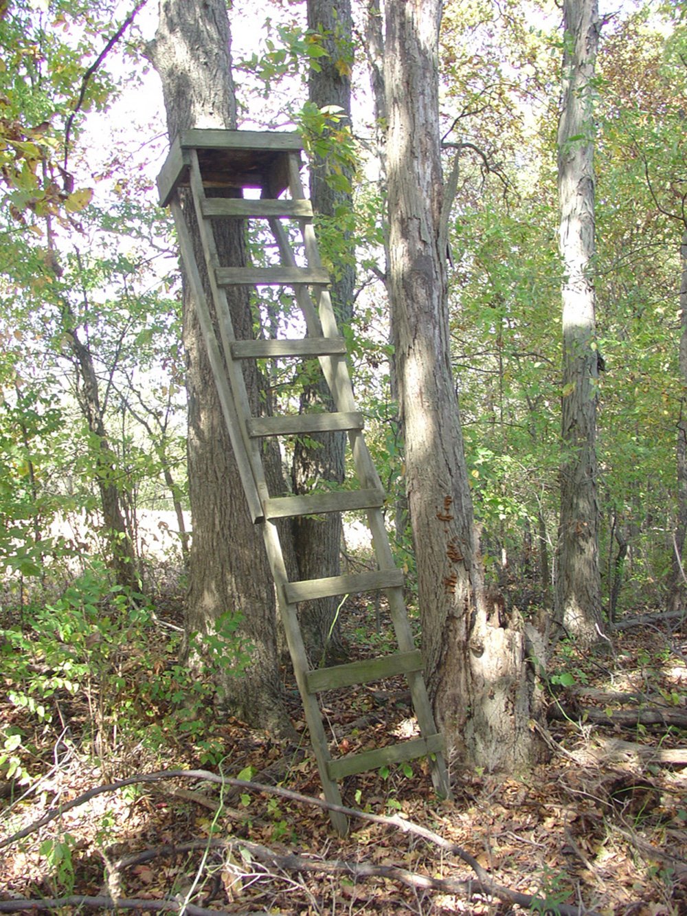Property photo 16 - Land Auction-59 Acres in 3 Tracts