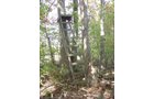 Property photo 16 - Land Auction-59 Acres in 3 Tracts