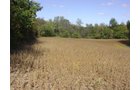 Property photo 22 - Land Auction-59 Acres in 3 Tracts