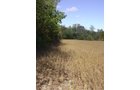 Property photo 5 - Land Auction-59 Acres in 3 Tracts