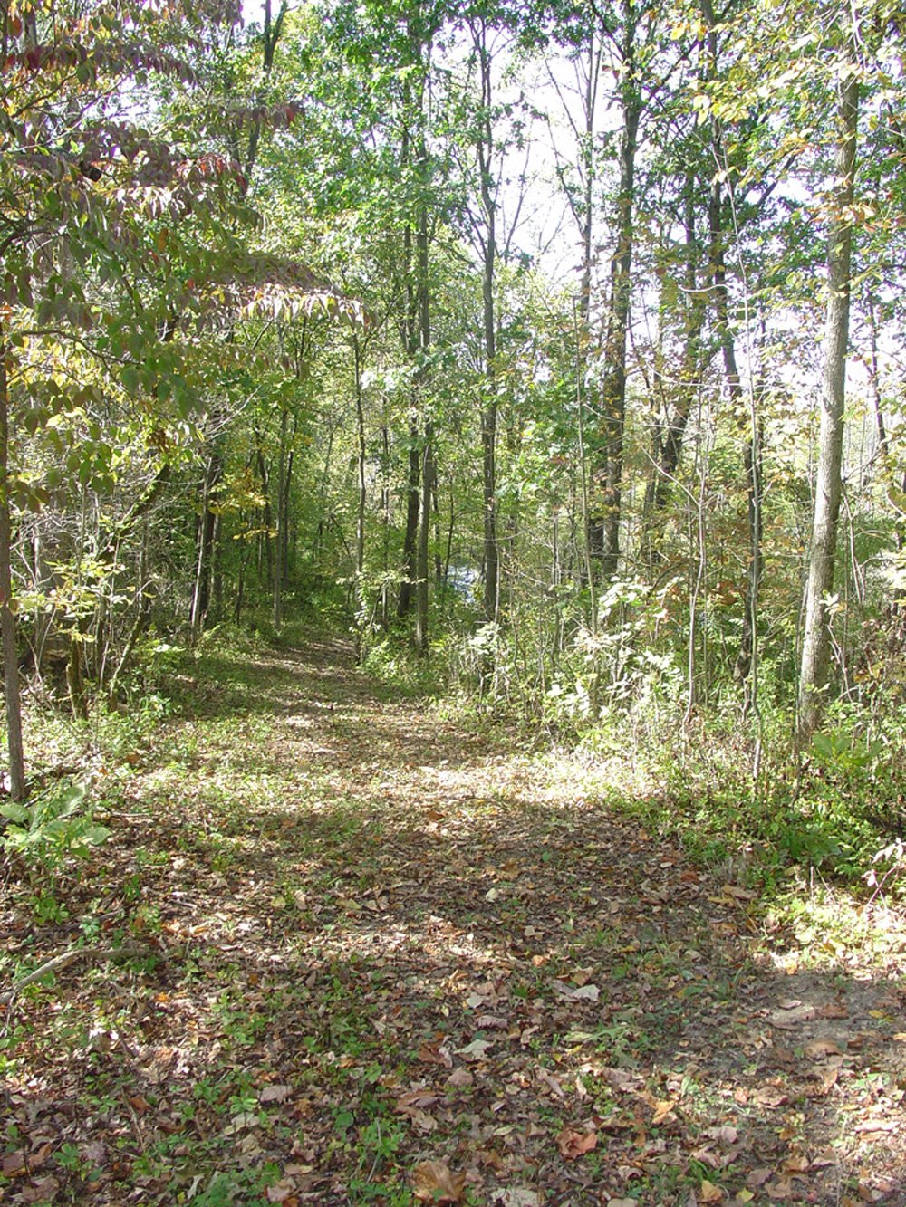 Property photo 2 - Land Auction-59 Acres in 3 Tracts