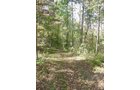 Property photo 2 - Land Auction-59 Acres in 3 Tracts