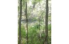 Property photo 21 - Land Auction-59 Acres in 3 Tracts