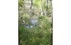 Property photo 20 - Land Auction-59 Acres in 3 Tracts