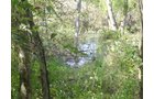 Property photo 18 - Land Auction-59 Acres in 3 Tracts