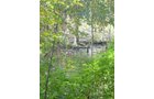Property photo 4 - Land Auction-59 Acres in 3 Tracts