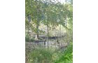 Property photo 8 - Land Auction-59 Acres in 3 Tracts