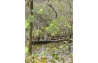 Property photo 3 - Land Auction-59 Acres in 3 Tracts