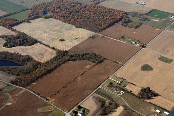 140+/- Acres Offered in 4 Tracts