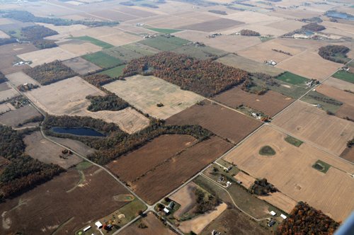 Property photo 1 - 140+/- Acres Offered in 4 Tracts