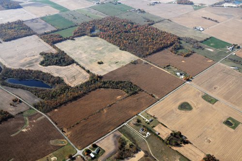 Property photo 14 - 140+/- Acres Offered in 4 Tracts