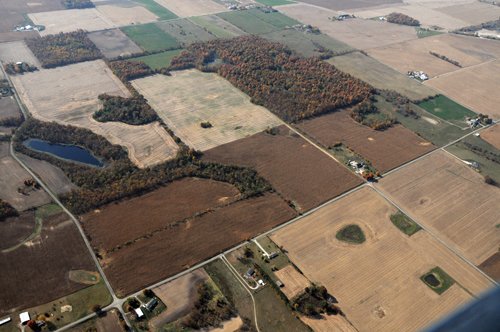 Property photo 28 - 140+/- Acres Offered in 4 Tracts