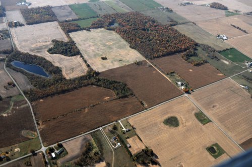 Property photo 27 - 140+/- Acres Offered in 4 Tracts