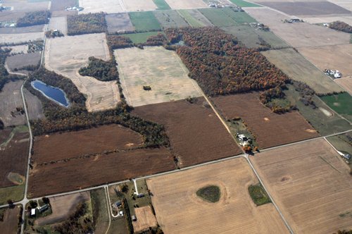 Property photo 8 - 140+/- Acres Offered in 4 Tracts