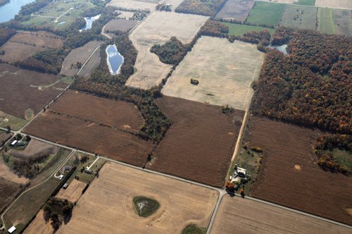 Property photo 34 - 140+/- Acres Offered in 4 Tracts