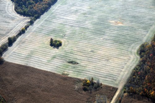 Property photo 16 - 140+/- Acres Offered in 4 Tracts