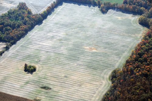 Property photo 4 - 140+/- Acres Offered in 4 Tracts