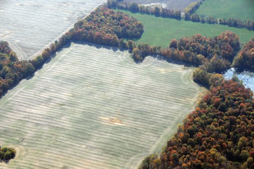 Property photo 7 - 140+/- Acres Offered in 4 Tracts