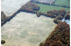 Property photo 7 - 140+/- Acres Offered in 4 Tracts