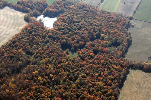 Property photo 36 - 140+/- Acres Offered in 4 Tracts