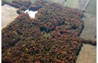 Property photo 36 - 140+/- Acres Offered in 4 Tracts