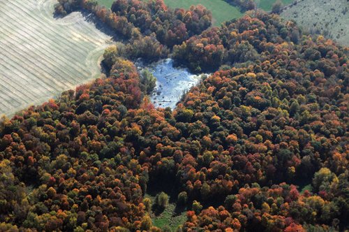 Property photo 31 - 140+/- Acres Offered in 4 Tracts