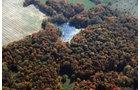 Property photo 31 - 140+/- Acres Offered in 4 Tracts